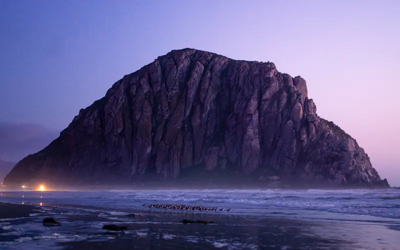 黄昏 候鸟 海岸 莫罗湾 加利福尼亚 5K桌面壁纸5120×3200