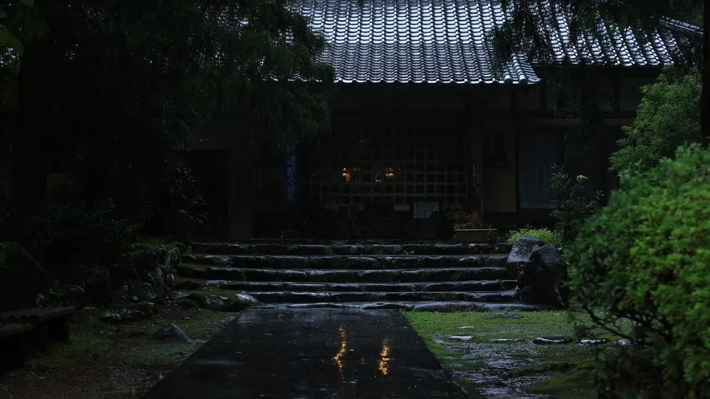 自然 石楼梯 黑暗 弱光 树木 植物 雨季 风 寺庙 4K壁纸