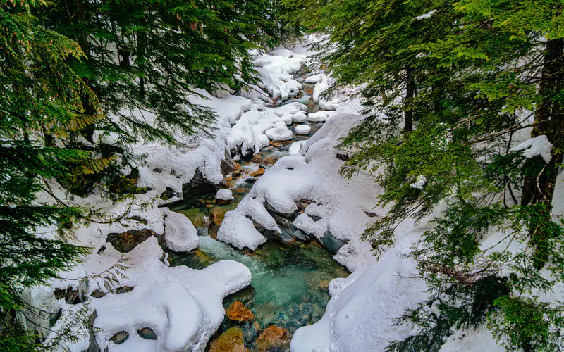 冬季 河流 雪 富兰克林瀑布 华盛顿 美国 5K桌面壁纸5120×3200