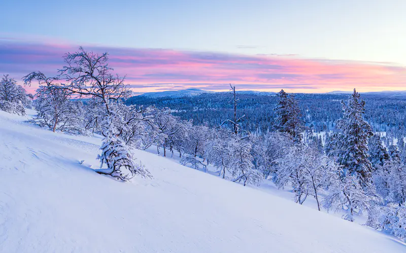 森林 雪景 日落 2024新年 挪威 5K桌面壁纸5120×3200