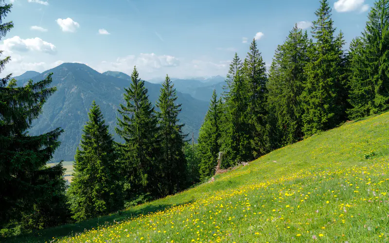 Tegernsee 德国 2021 绿山坡 5K桌面壁纸5120×3200 照片