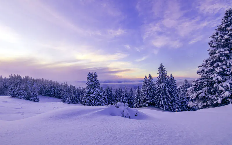 山 雪 松树 丛林 冬天 5K桌面壁纸5120×3200