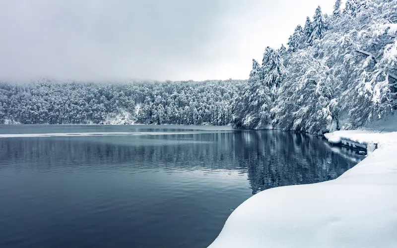 森林 树木 湖泊 2021 冬天 雪景 5K桌面壁纸5120×3200 照片