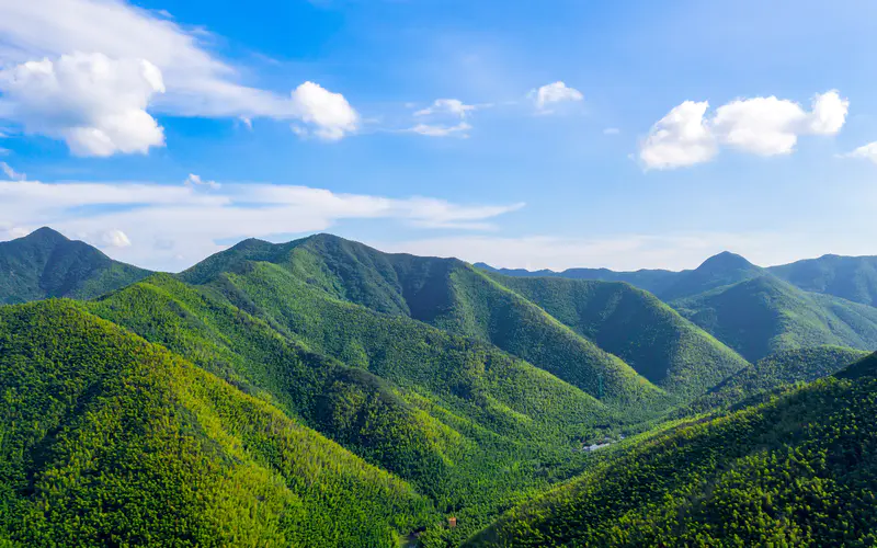 夏季 竹林 旅行 山丘 景观 5K桌面壁纸5120×3200