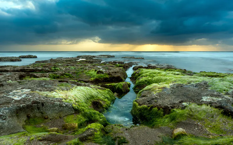 海岸,礁石,海草,2022,海洋,天际线,5K桌面壁纸5120×3200