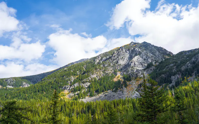 高松树 落基山 森林 夏天 白云 5K桌面壁纸5120×3200