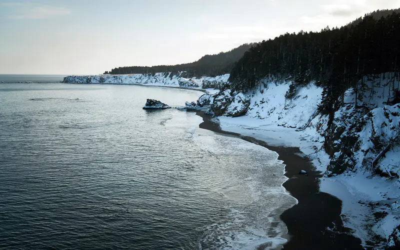 黑色 海滩 冬季 海岸线 海岸 丛林 5K桌面壁纸5120×3200