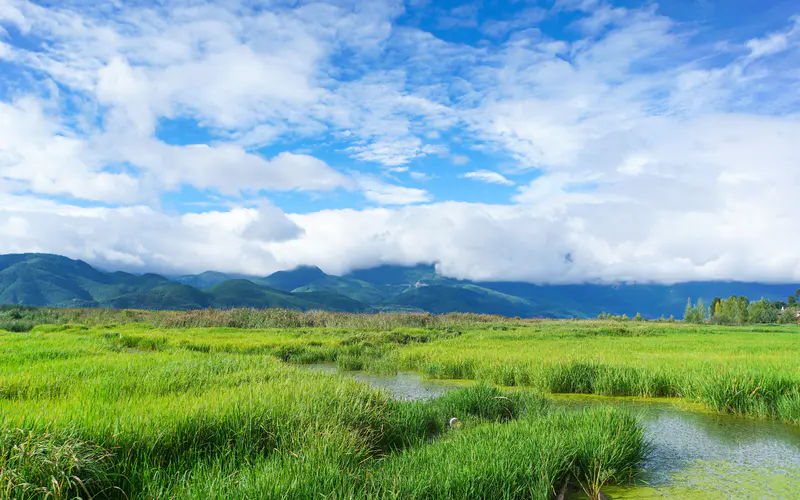 湿地公园,泸沽湖,香格里拉,旅游,5K桌面壁纸5120×3200,照片