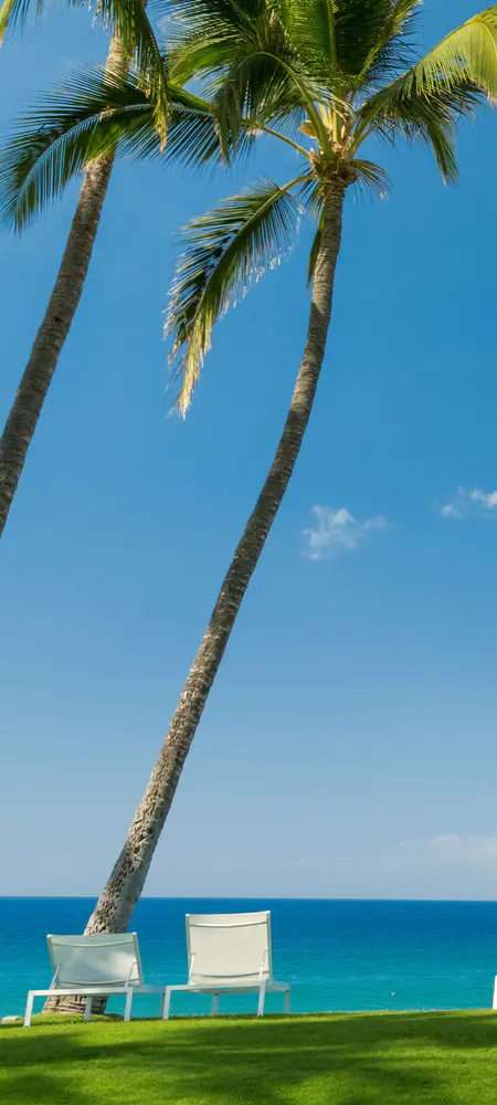 碧海蓝天椰林躺椅度假风光