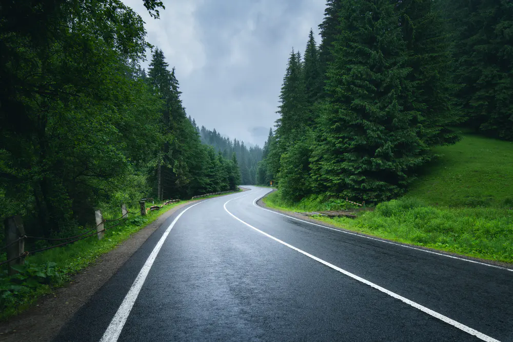 自然 风景 森林 绿色 树木 沥青 道路 松树 天空 薄雾 8K壁纸