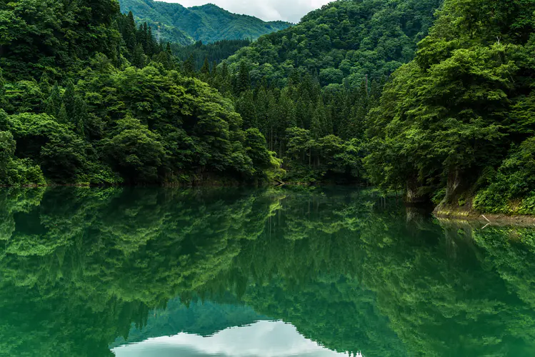 树 山 水 湖 4K壁纸