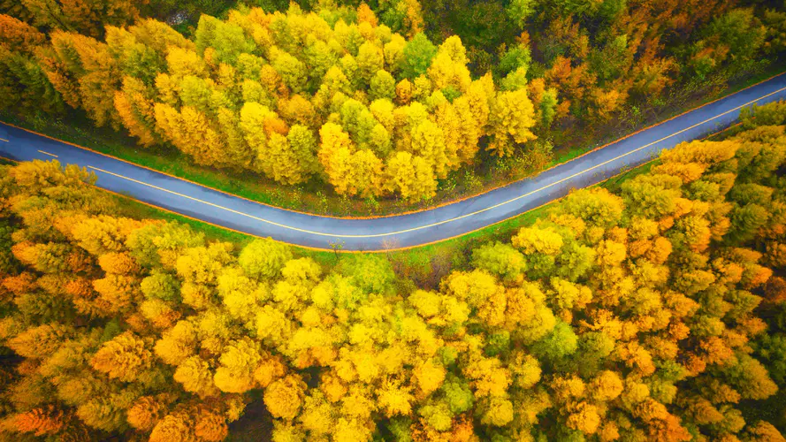 4k 高清 风景 秋天 公路 摄影 俯视 电脑壁纸 3840×2160