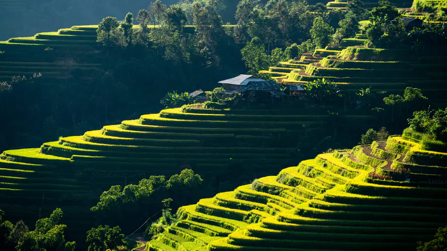 美丽的山村风景梯田 树 房子 4k壁纸