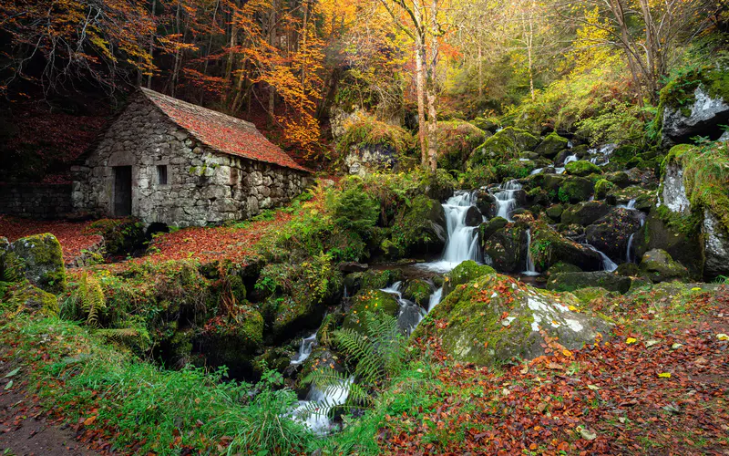 丛林 河流 石头 山 小屋 秋天 5K桌面壁纸5120×3200