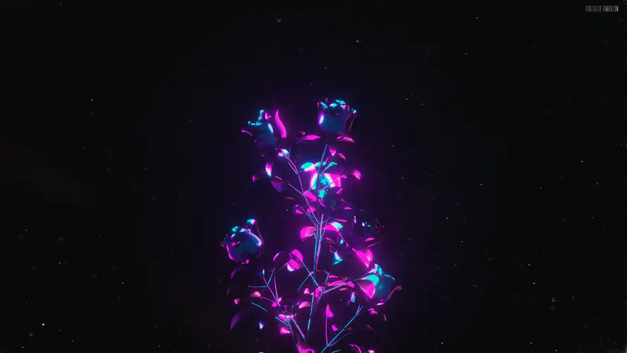 抽象玫瑰紫花4K影院深色壁纸