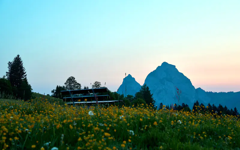 阿尔卑斯山国家公园 山顶 草地 长凳 5K桌面壁纸5120×3200