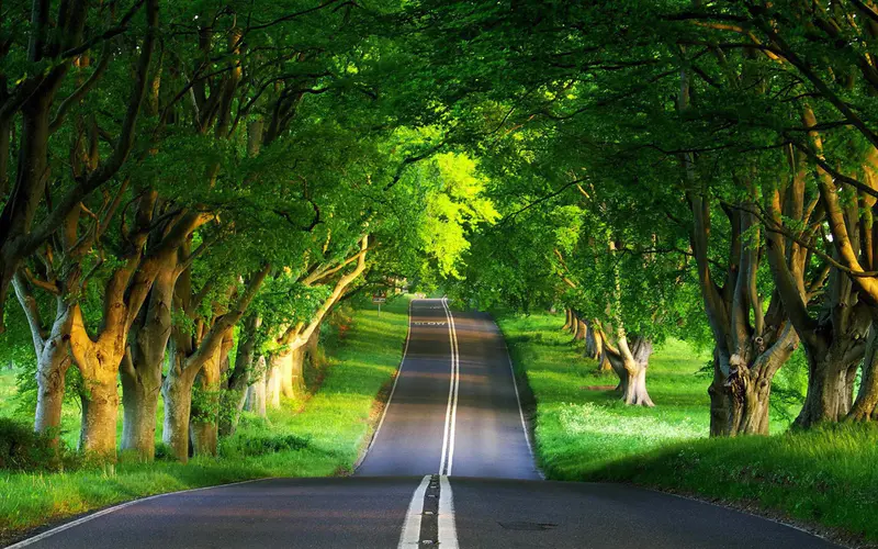 道路夏天-美丽自然风光桌面壁纸