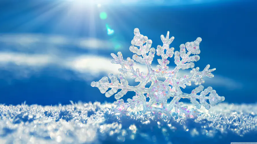 冬季微距雪花与冰晶的蓝色背景电脑壁纸，寒冷阳光下的4K高清壁纸