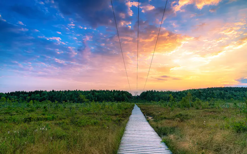 道路 野外 2022年 夏天 景观 5K桌面壁纸5120×3200 照片