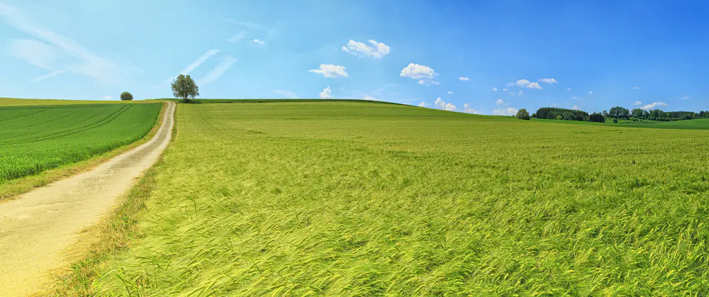 全景 夏季 草地 景区 绿色田野 农村农场3440×1440风景壁纸