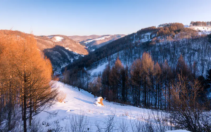 林海 雪原 丘陵 2021 冬天 5K桌面壁纸5120×3200 照片