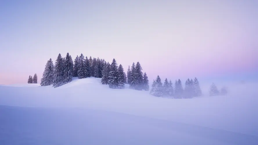 瑞士冬季 雪 树美丽冬天风景4k壁纸3840×2160