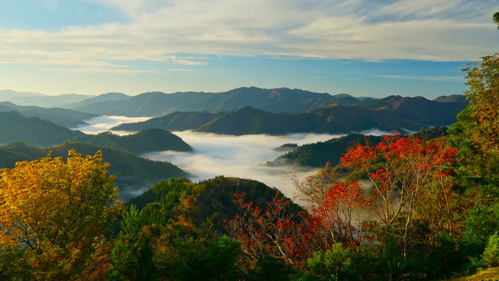 自然 风景 树木 天空 云 森林 山脉 薄雾 山景 秋天 4K壁纸