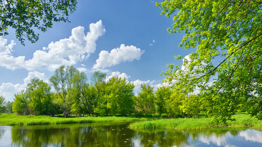 天空,云,树木,草,绿色的风景3840×2160高清壁纸