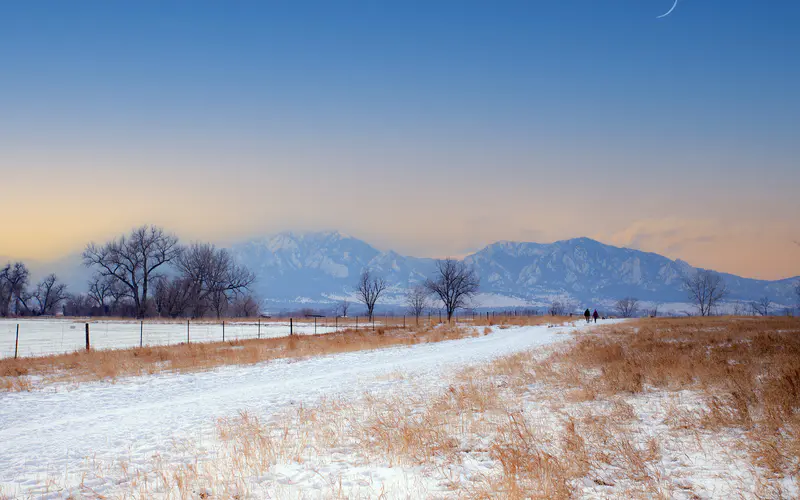 荒地 冬天 第一雪 2022 自然 5K桌面壁纸5120×3200 照片