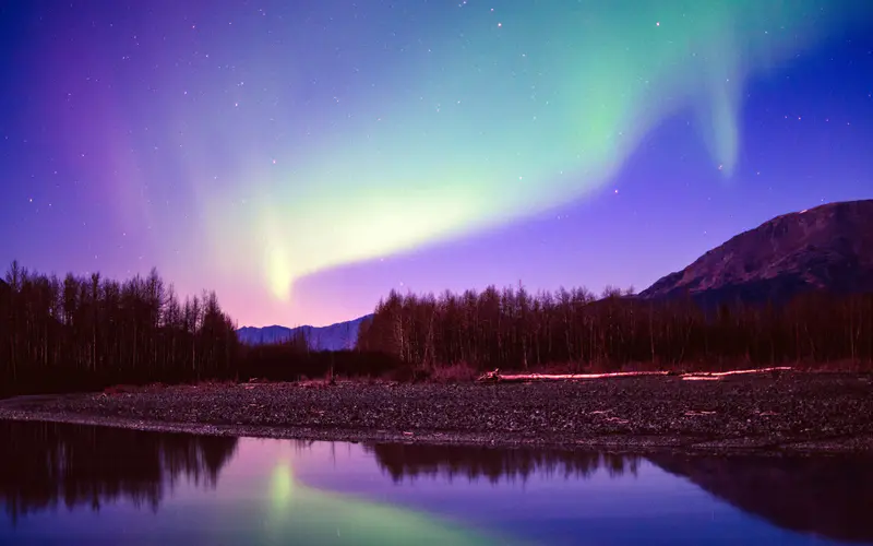 丛林 湖 极光 星星 夜景 阿拉斯加 5K桌面壁纸5120×3200