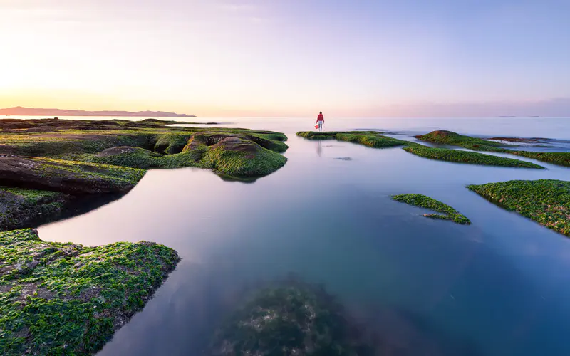 海岸 礁石 美丽 苔藓 日落 天际线 5K桌面壁纸5120×3200