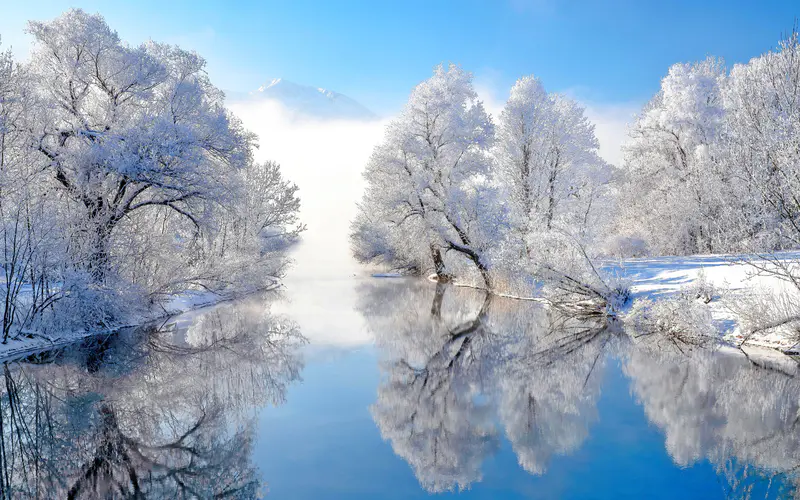 冬季 雾凇 丛林 河流 自然 风景 5K桌面壁纸5120×3200