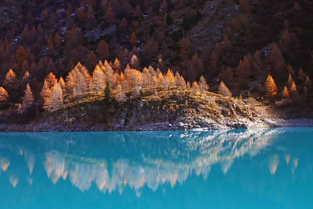 秋林碧水风光 壁纸 桌面背景