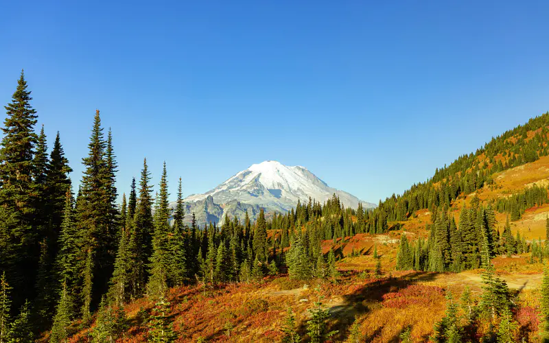 雪山 丛林 斜坡 树木 秋天 5K桌面壁纸5120×3200