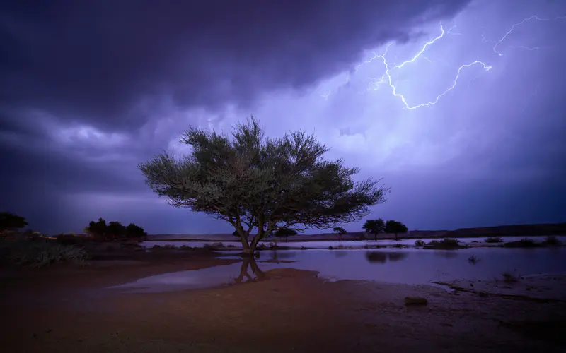 雷雨 夜晚 沙漠 孤树 沙特阿拉伯 5K桌面壁纸5120×3200