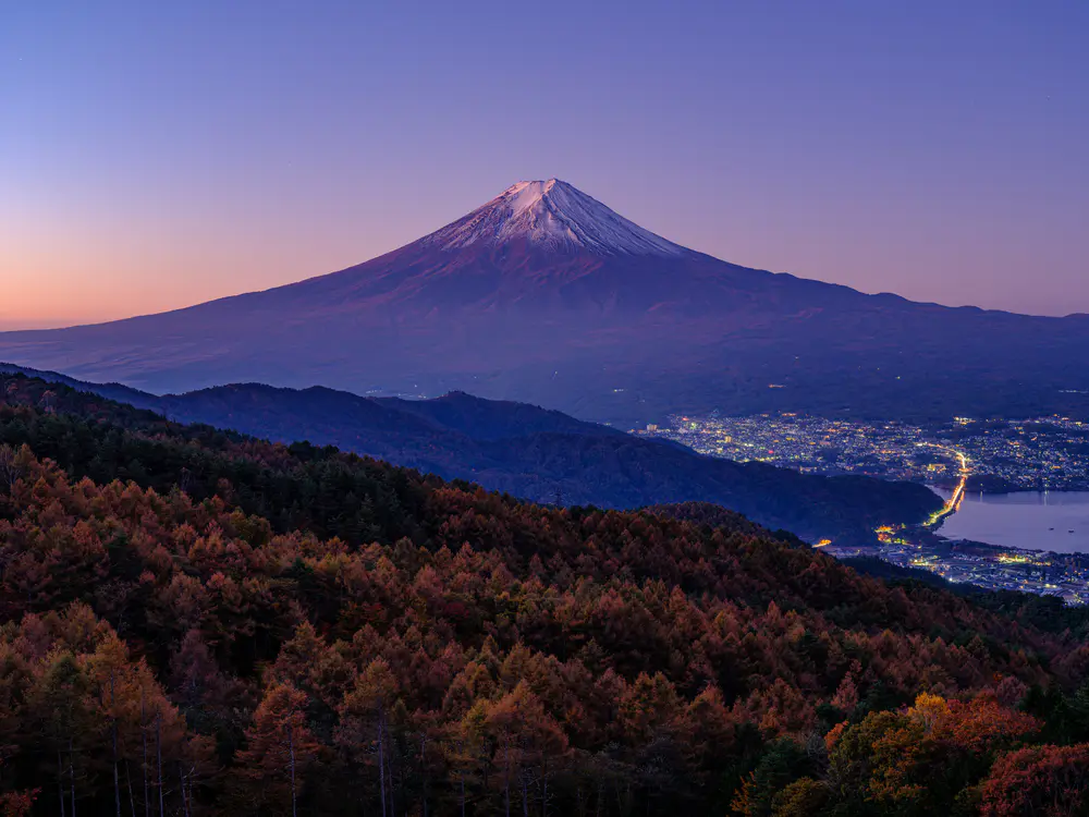 自然 风景 天空 晴朗 城镇 灯光 远景 树木 森林 夕阳 4K壁纸