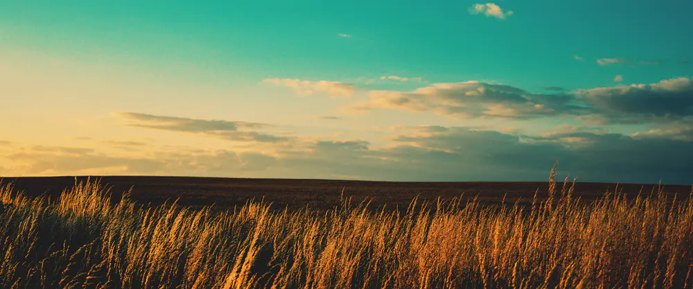 唯美夕阳草原风景_3840x1600带鱼屏_高清电脑桌面壁纸