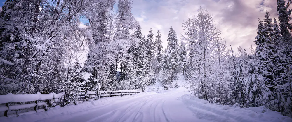 冬日雪景森林_3840x1600带鱼屏_高清电脑桌面壁纸