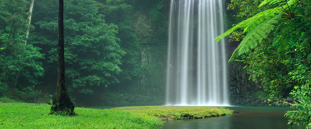 雨林瀑布风光_3840x1600带鱼屏_高清电脑桌面壁纸