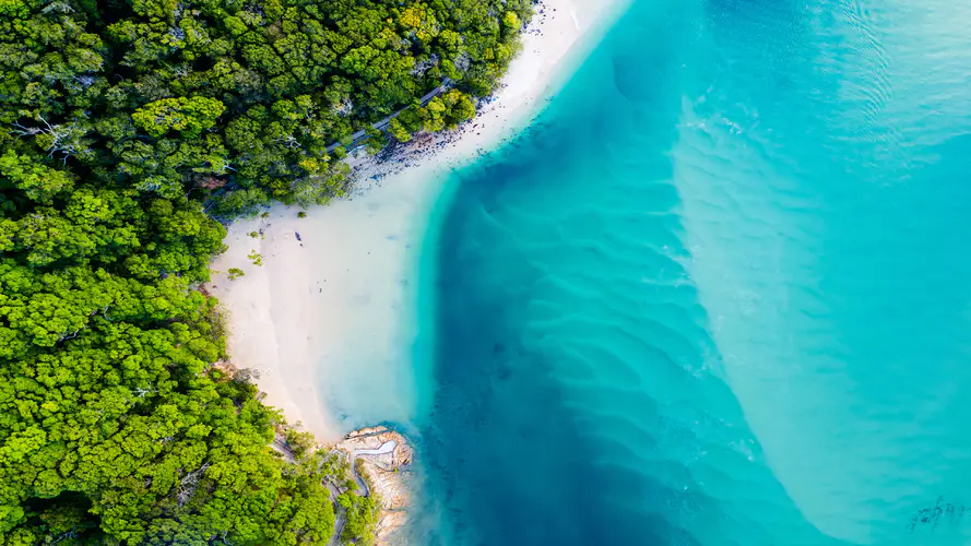 美丽的海洋风景 海边 绿色树林 蓝色海水 从上面往下看 windows10主题风景4k壁纸