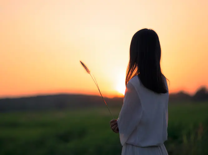 夕阳下的女孩 拿着狗尾巴草 背影iPad平板电脑壁纸