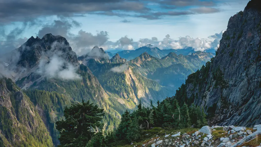 华盛顿 自然景观 高地 落叶松 斜坡 4K桌面壁纸 3840×2160