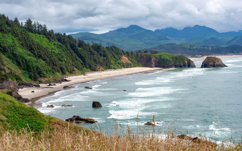 丛林,海岸,海滩,Ecola Point,俄勒冈,美国,5K桌面壁纸5120×3200