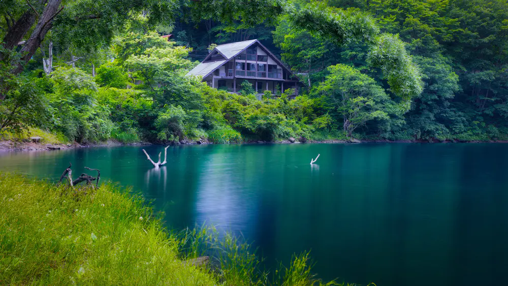 自然 景观 树木 植物 河流 木材 水 湖泊 废墟 废弃 森林 树叶 4K壁纸