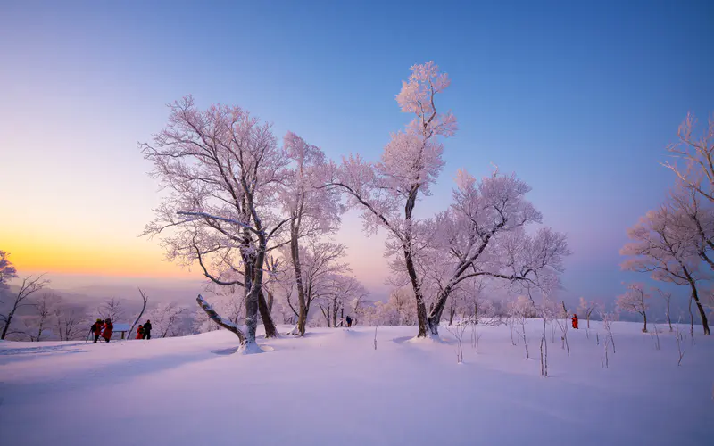 寒冷的冬天 霜 2022 雪山 日落 5K桌面壁纸5120×3200 照片