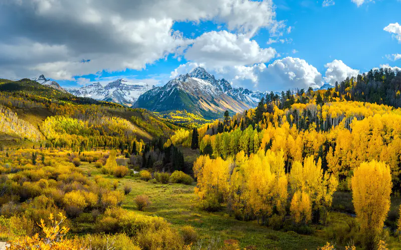 森林 秋天 山 风景 黄树 5K桌面壁纸5120×3200