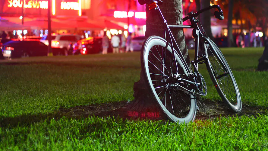 夜色中靠在树上的自行车风景壁纸