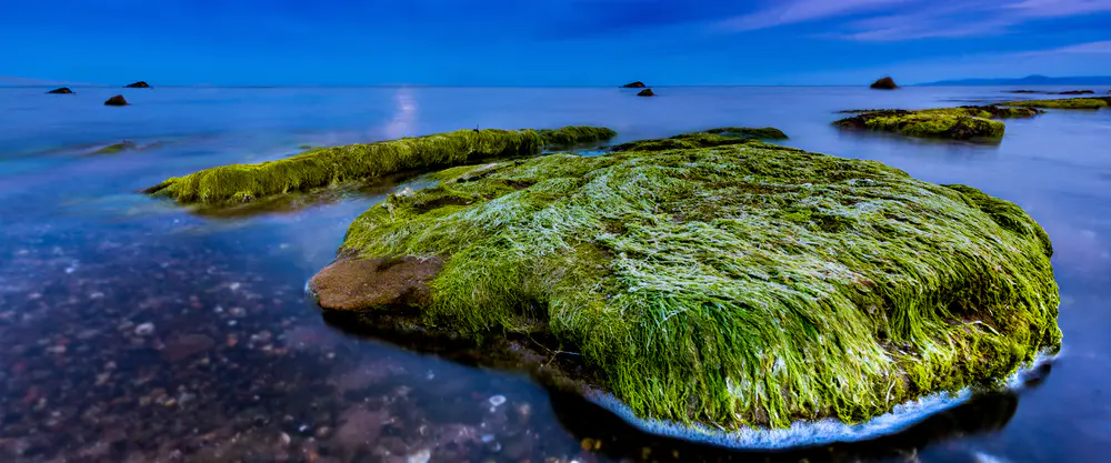 海洋青苔石风景_3840x1600带鱼屏_高清电脑桌面壁纸