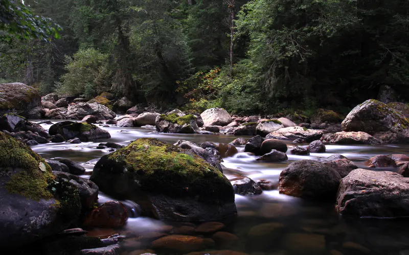 山谷 河 岩石 贝克山 华盛顿 美国 5K桌面壁纸5120×3200