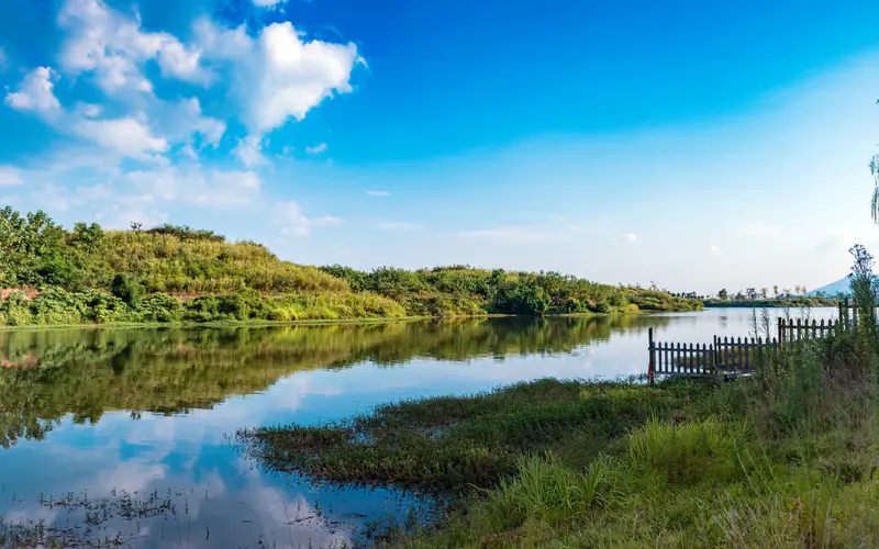 湖 蓝天 夏季 湿地生态公园 5K桌面壁纸5120×3200